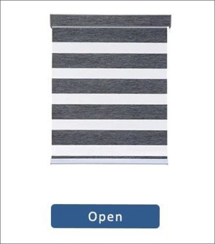 Zebra Blind 2