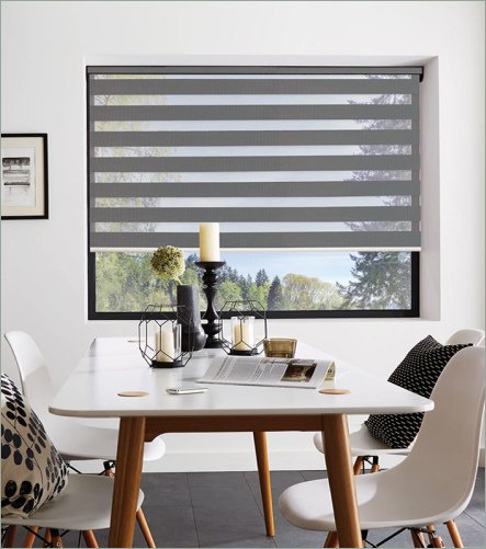 Zebra Blind 2