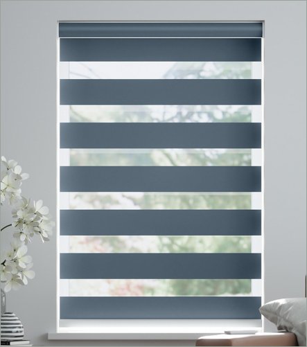 Zebra Blind 2
